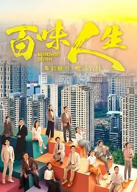 蜜桃视频app热播悬疑剧雾港回声封面